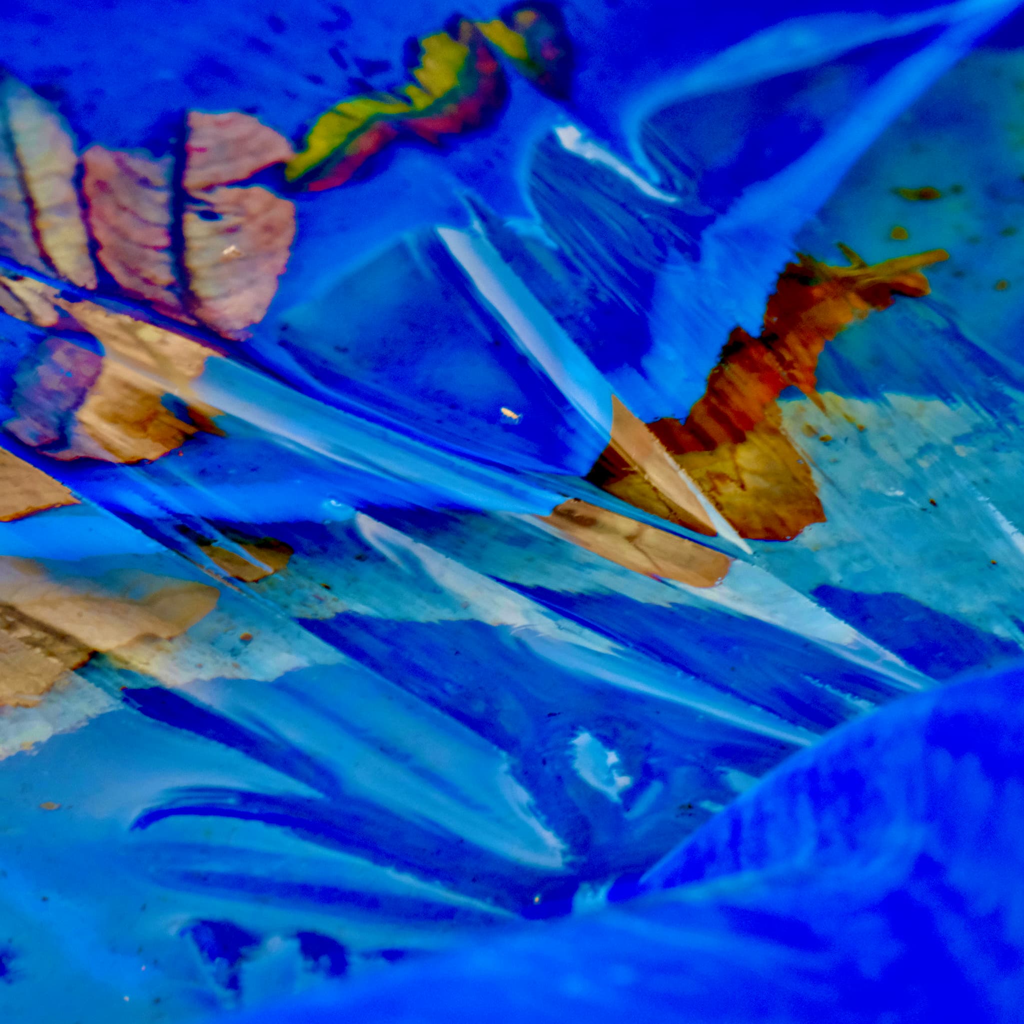Image by Felicity Egan